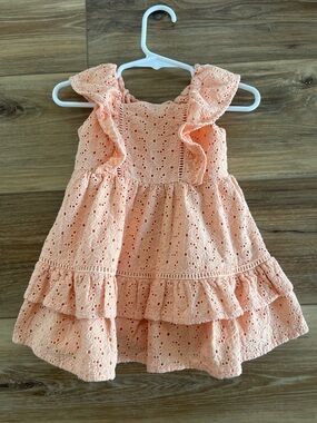 Janie and Jack Baby Girls Peach Eyelet Dress, Size 12-18 Months 🧡 Worn Once